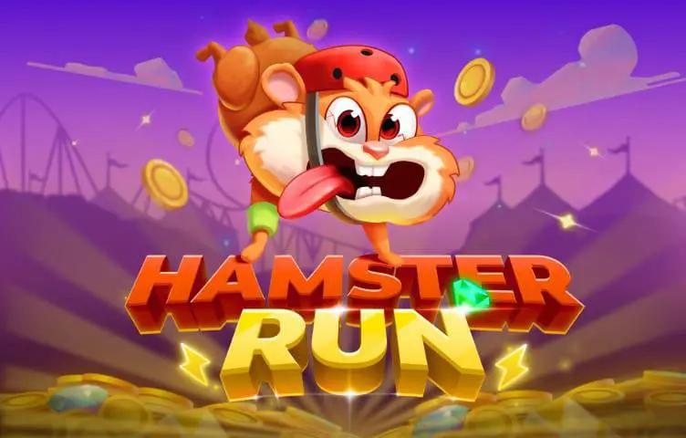 Hamster Run - Spin City - Lesotho