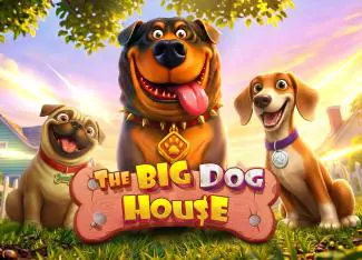 The Big Dog House - Spin City - Lesotho