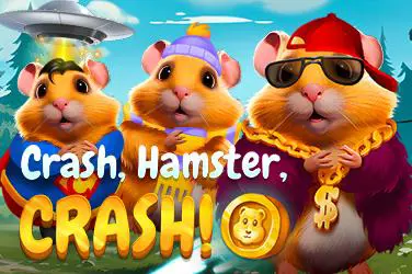 CRASH, HAMSTER, CRASH! - Spin City - Lesotho