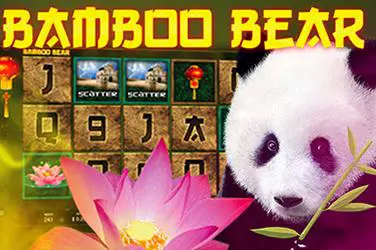 Bamboo Bear - Spin City - Lesotho