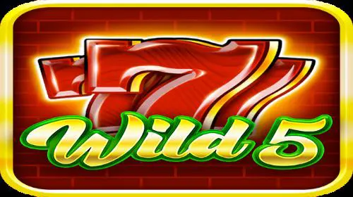 Wild 5 - Spin City - Lesotho