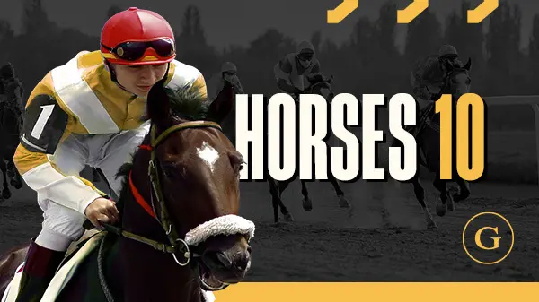 Horses 10 Sprint - Spin City - Lesotho