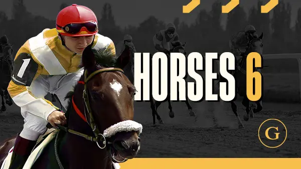 Horse 6 H.Odds - Spin City - Lesotho