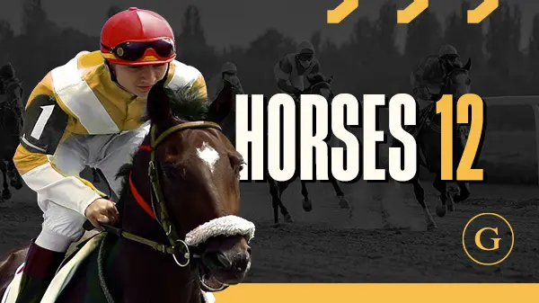 Horses 12 Flat Scheduled - Spin City - Lesotho