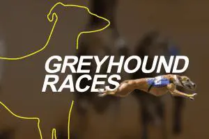 vDogs (Grayhound races) - Spin City - Lesotho