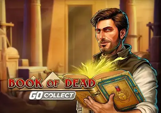 Book of Dead GO Collect - Spin City - Lesotho
