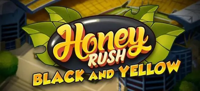 Honey Rush Black and Yellow - Spin City - Lesotho