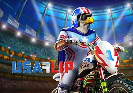 USA Flip - Spin City - Lesotho