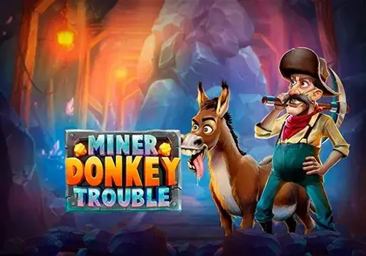 Miner Donkey Trouble - Spin City - Lesotho