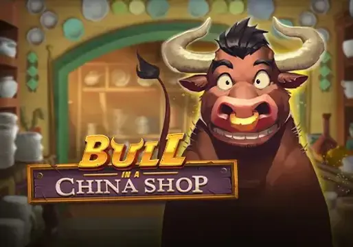 Bull in a China Shop - Spin City - Lesotho
