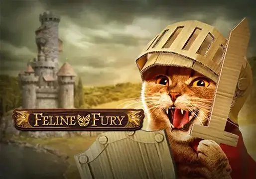 Feline Fury - Spin City - Lesotho