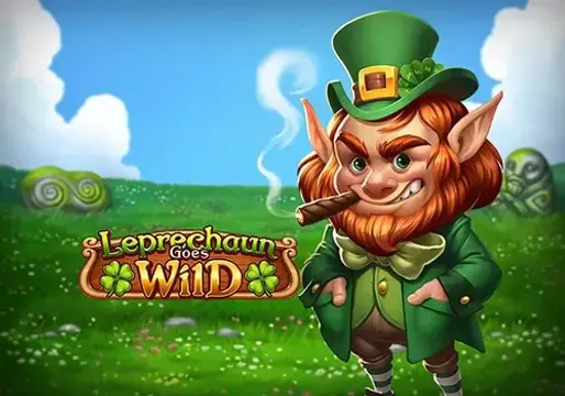 Leprechaun Goes Wild - Spin City - Lesotho