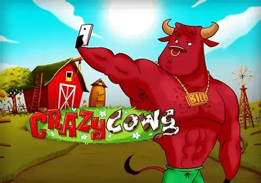 Crazy Cows - Spin City - Lesotho