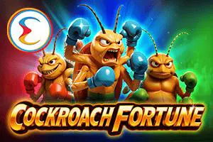Cockroach Fortune - Spin City - Lesotho
