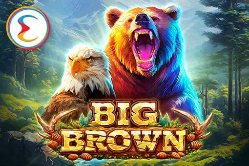 Big Brown - Spin City - Lesotho