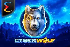 Cyber Wolf - Spin City - Lesotho