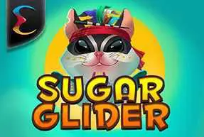 Sugar Glider - Spin City - Lesotho