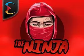 Ninja - Spin City - Lesotho