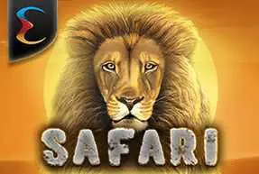 Safari - Spin City - Lesotho