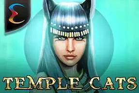 Temple Cats - Spin City - Lesotho