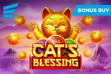Cat's Blessing - Spin City - Lesotho