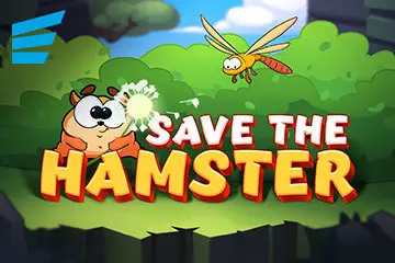 Save The Hamster - Spin City - Lesotho
