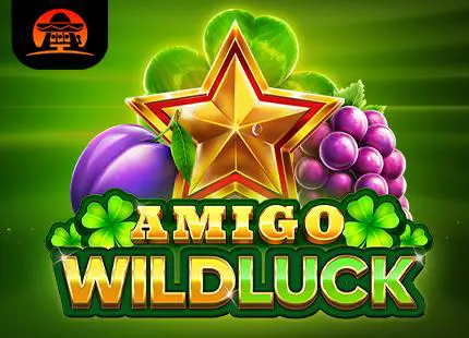 Amigo Wild Luck - Spin City - Lesotho