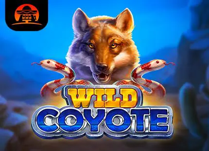 Wild Coyote - Spin City - Lesotho