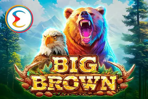 Big Brown - Spin City - Lesotho
