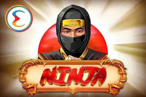 Ninja - Spin City - Lesotho