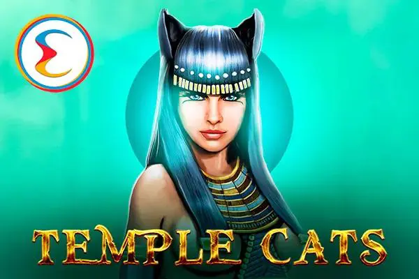 Temple Cats - Spin City - Lesotho