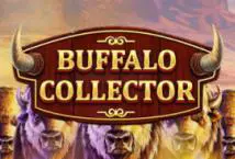 Buffalo Collector - Spin City - Lesotho