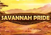 Savannah Pride - Spin City - Lesotho