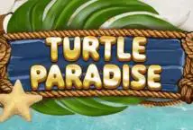 Turtle Paradise - Spin City - Lesotho