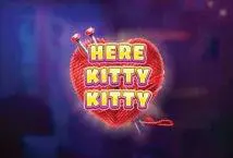 Here Kitty Kitty - Spin City - Lesotho