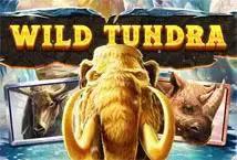 Wild Tundra - Spin City - Lesotho