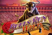 Bulls Run Wild - Spin City - Lesotho