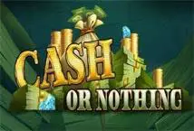 Cash Or Nothing - Spin City - Lesotho