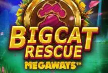 Big Cat Rescue Megaways - Spin City - Lesotho