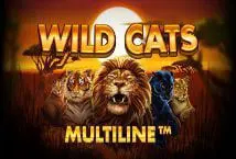 Wild Cats Multiline - Spin City - Lesotho
