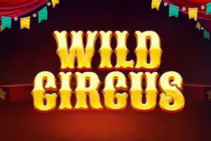 Wild Circus - Spin City - Lesotho