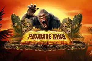 Primate King - Spin City - Lesotho
