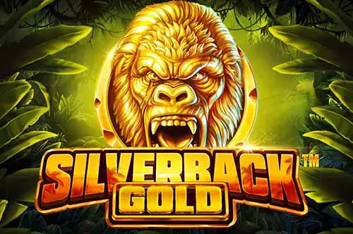 Silverback Gold - Spin City - Lesotho