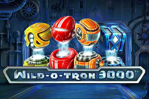Wild-O-Tron 3000 - Spin City - Lesotho