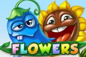 Flowers - Spin City - Lesotho