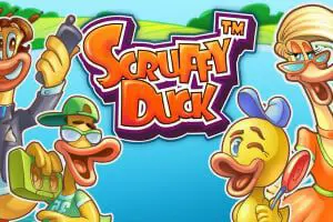 Scruffy Duck - Spin City - Lesotho