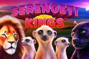 Serengeti Kings - Spin City - Lesotho