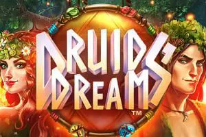 Druids Dream - Spin City - Lesotho