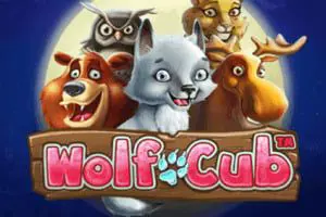 Wolf Cub - Spin City - Lesotho