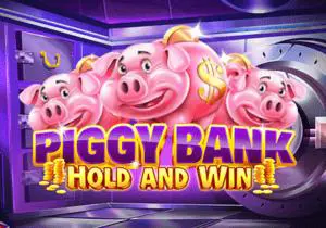 Piggy Bank - Spin City - Lesotho